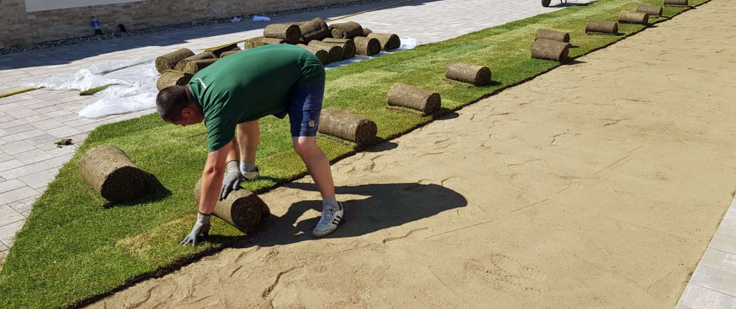 spatiulmeuverde-WA0072